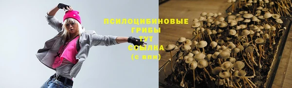 ГАЛЛЮЦИНОГЕННЫЕ ГРИБЫ Алексин