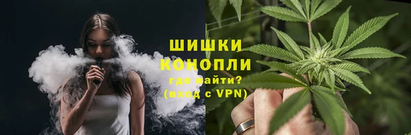 ГАЛЛЮЦИНОГЕННЫЕ ГРИБЫ Алексин
