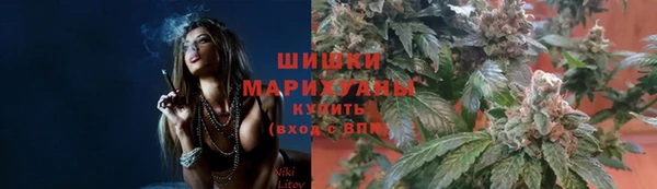 ГАЛЛЮЦИНОГЕННЫЕ ГРИБЫ Алексин