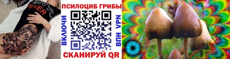 магазин    Туймазы  Галлюциногенные грибы мицелий 